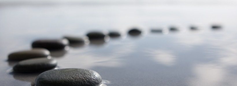 stepping stones in shallow water | micromanaging EOS rocks