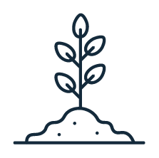 Coaching seed icons_Pricing page_plant