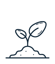 Coaching seed icons_Pricing page_sprout